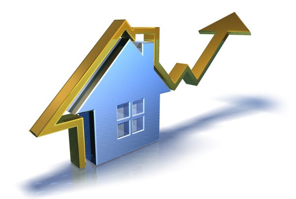 sector inmobiliario - Asset Management